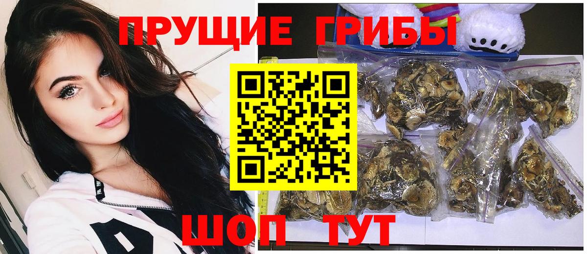 Королёв  Галлюциногенные грибы GOLDEN TEACHER  Вход с VPN 